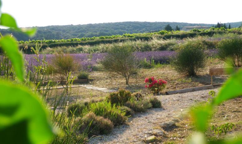 Au Mas D'Emma Villa Bourg-Saint-Andéol Buitenkant foto